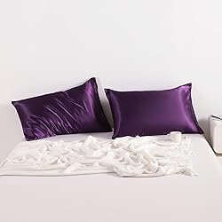 NTBAY 2 Pack Satin Queen Pillowcases for Hair and