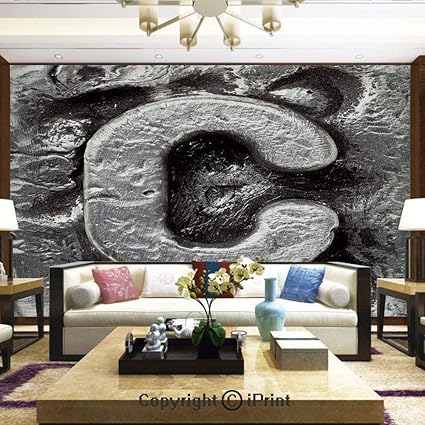 Amazon Com Lionpapa Mural Removable Wall Mural Ideal To Decorate