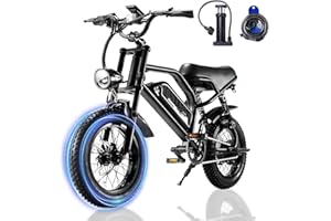 AVDLBIKE Electric Bike, Electric Bike for Adults,1000W 16'' E-Bike with 36V/12.8Ah Removable Battery, Up to 22MPH Range 45Miles, 16x3'' Fat Tire Electric Motorcycle for Teens/ Women/ Men, All Terrain e-Bike
