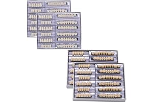 LVDXVG False Teeth Fake Teeth Acrylic Resin Teeth, 168pcs Teeth Upper and Lower Synthetic Resin Teeth for Replacement DIY Halloween (22A2)