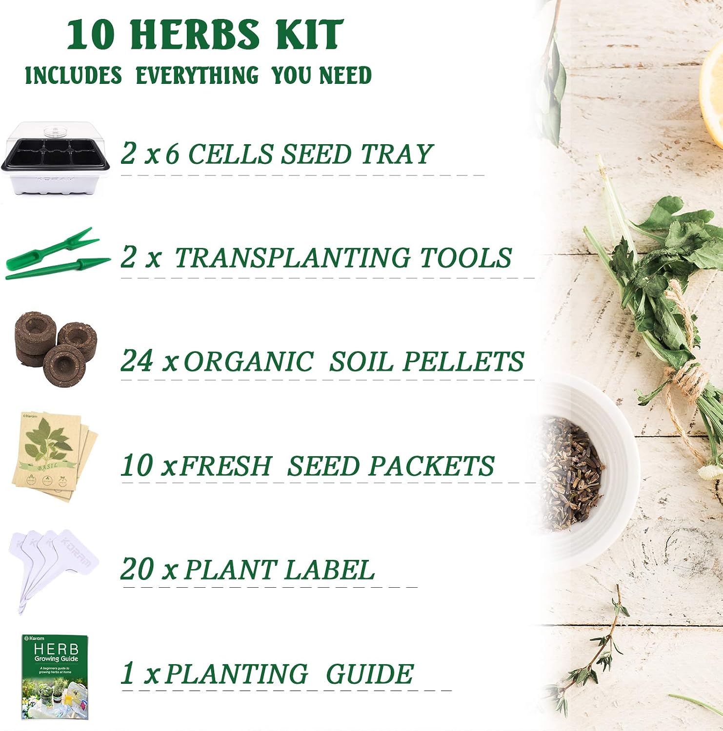 KORAM Kit de jardín de hierbas cultivo Set de iniciación de ...