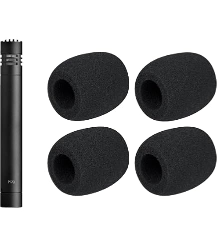Amazon.com: AKG Pro Audio P170 Professional, All Metal, Switchable