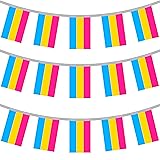 16FT LGBTQIA+ PRIDE BANNER, Rainbow Flag, Bisexual