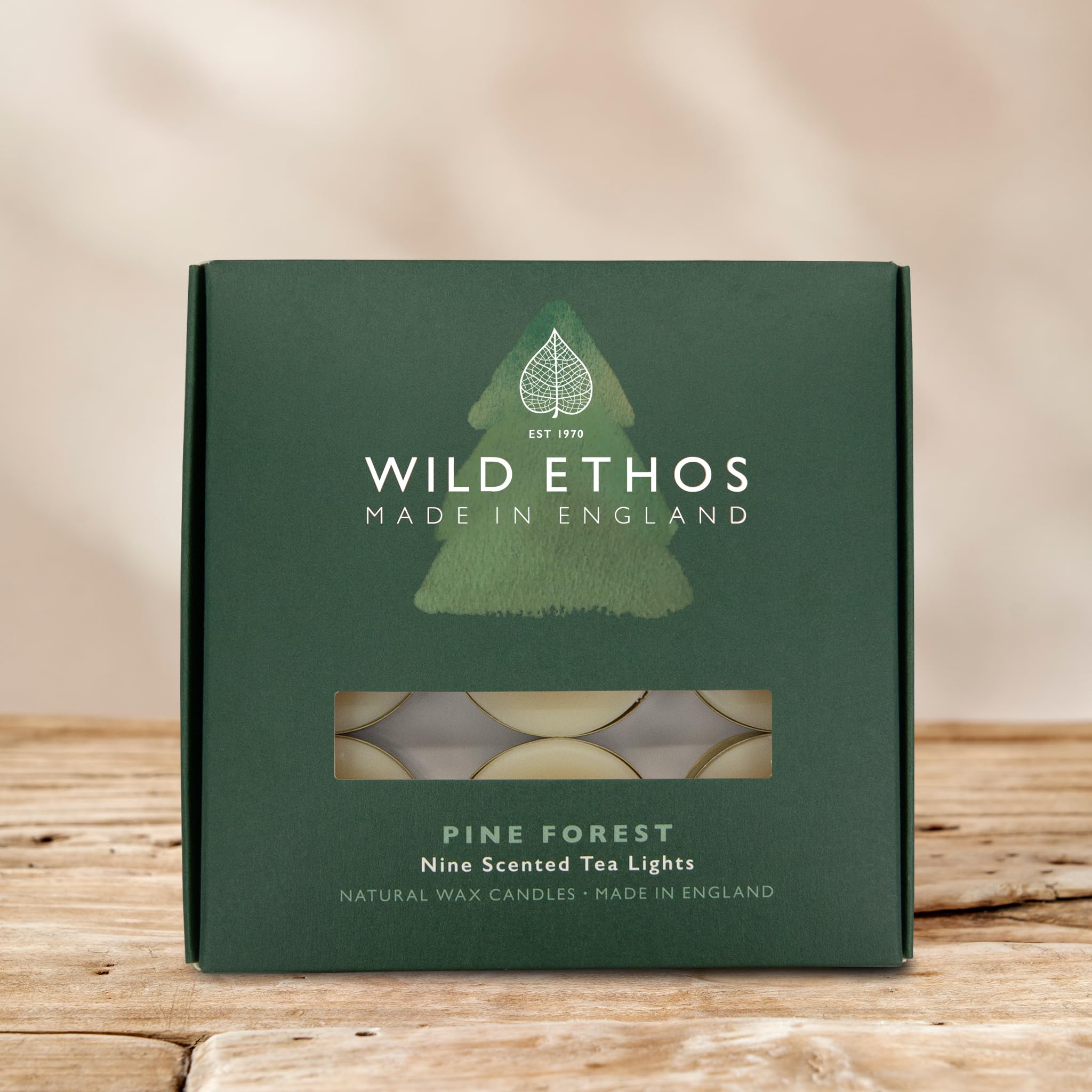 View 2