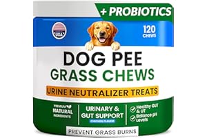 PAWFECTCHEW Green Grass Dog Chews w/Probiotics - Prevent Urine Burning Grass - Dog Pee Grass Spot Saver - Dog Urine Neutralizer for Lawn Treats, UT & Gut Health for Dogs, Lawn Burn from Dog Urine