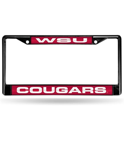 71SI5Jtxs8L._AC_UL495_SR435,