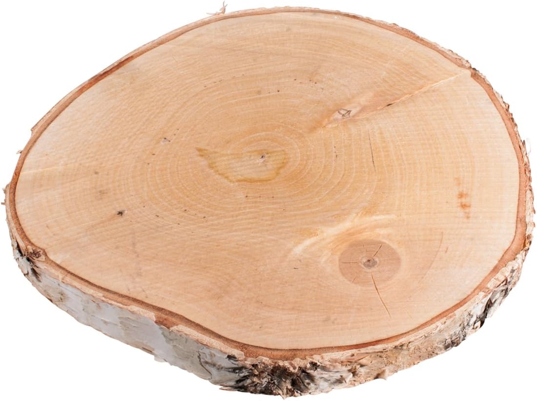 Centerpieces Table Decor M X 2 Natural Diy Wood Log Slice Natural Wedding Rustic Decoration Birch Home Furniture Diy