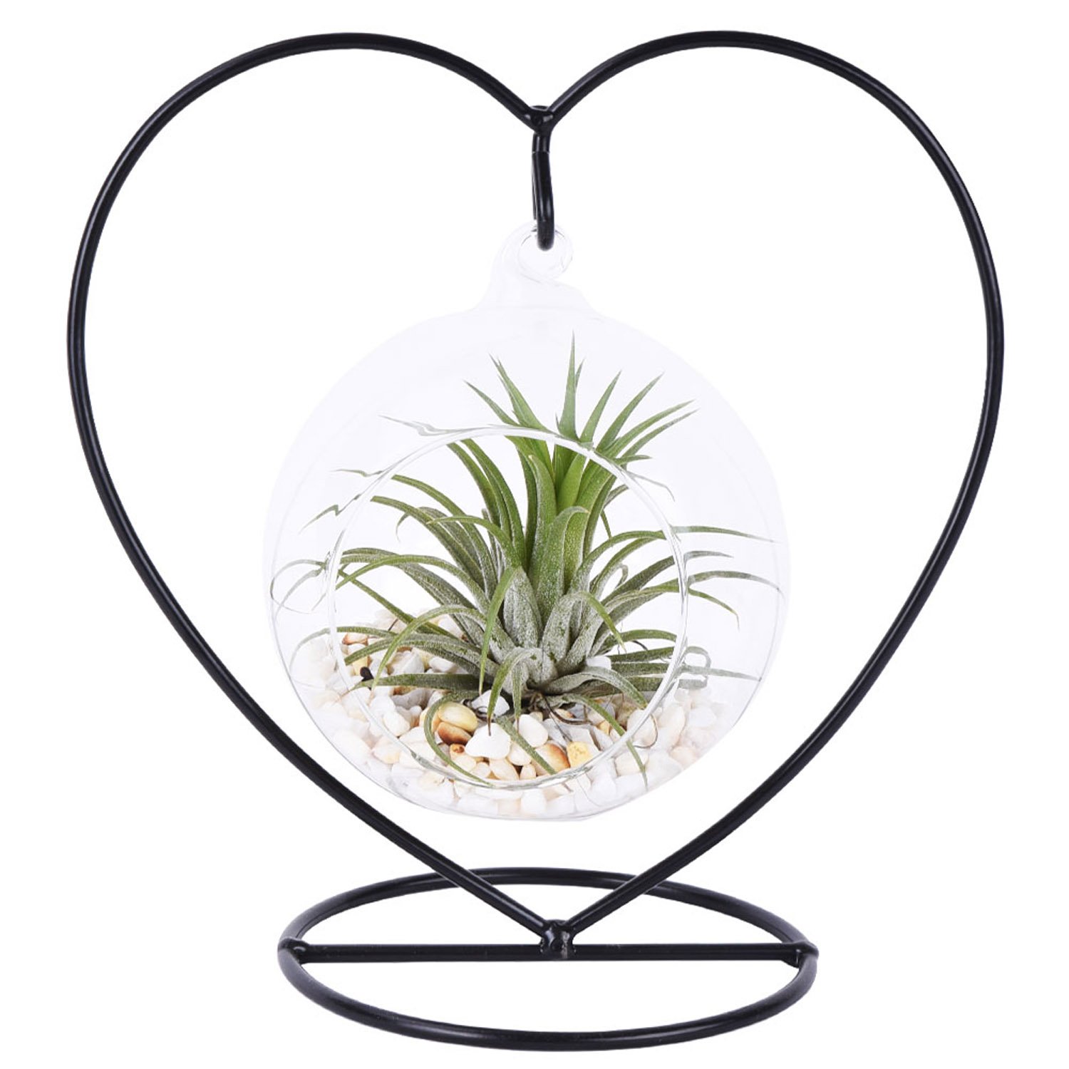 Terrarium Centerpieces? 6