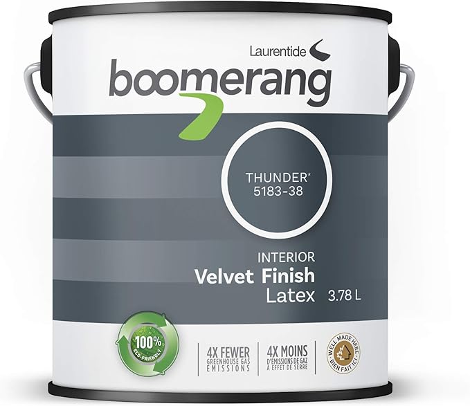 Boomerang EcoFriendly Interior Paint, Eggshell Finish (Thunder