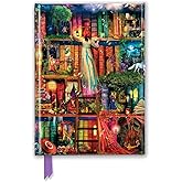 Aimee Stewart: Treasure Hunt Bookshelves (Foiled Journal) (Flame Tree Notebooks)