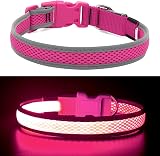 YFbrite Light Up Dog Collar Pink Medium Rechargeable LED Reflective Safety view 6