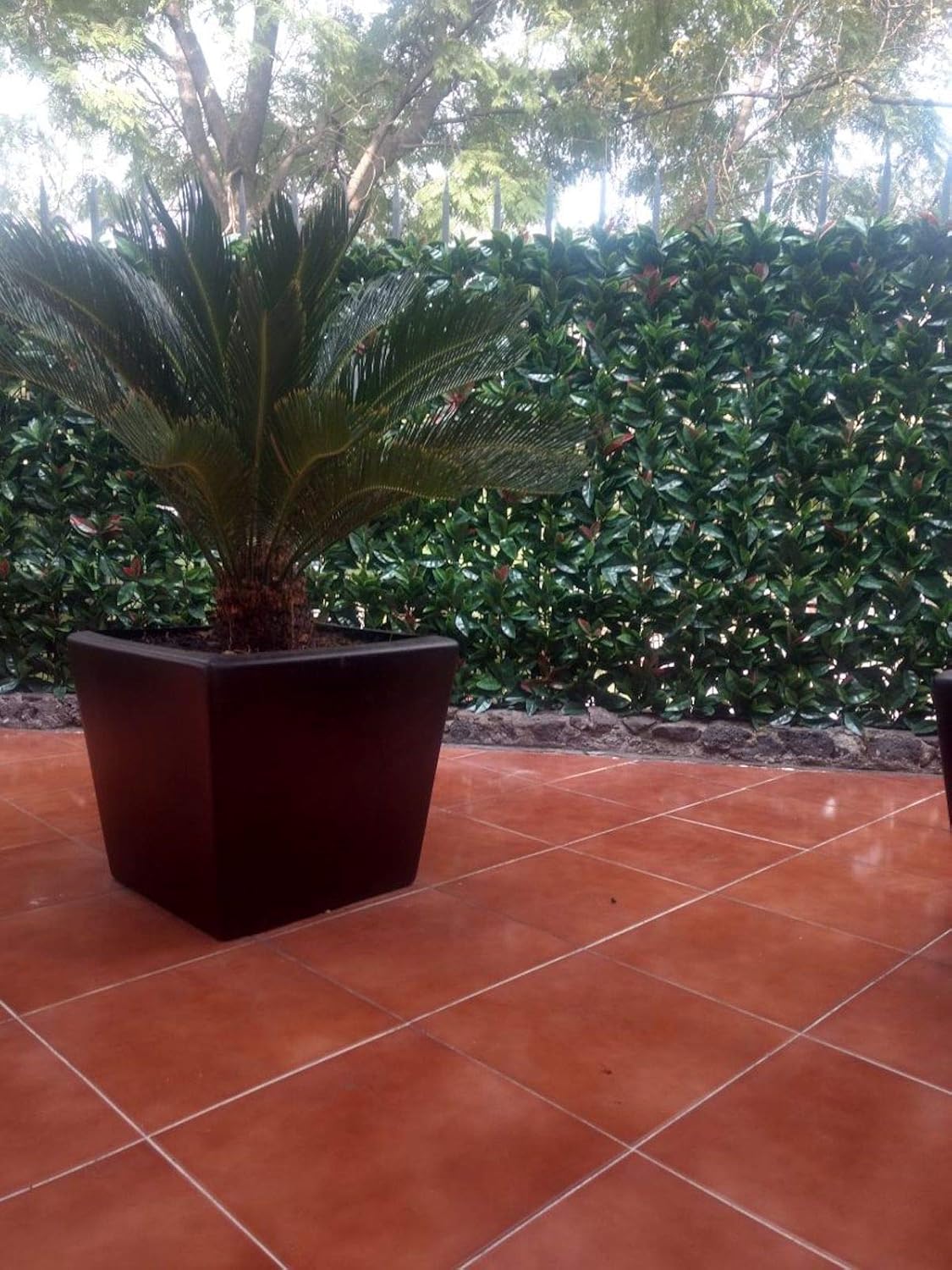 artificial foliage wall panels on Home Decor Accents Greensmart Dekor 20 X 20 Indoor Outdoor Artificial Laurel Set Of 4 Decorative Wall Panels Green Home Decor