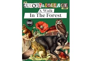 The Cut Out And Collage Book: A Walk in the Forest - Forest Themed Amazing Things To Cut & Collage: Deer, Foxes, Squirrels, O