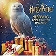 Harry Potter: Hedwig Pop-Up Advent Calendar (Reinhart Pop-Up Studio)