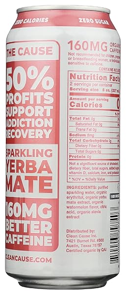 CLEAN CAUSE ORGANIC SPARKLING WATERMELON YERBA MATE, 16 FZ