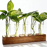 Renmxj Plant Propagation Station, Plant Terrarium with Wooden Stand, Plants Pots for Hydroponics, Small Birthday Gardening Gifts for Women Mom Plants Lovers Unique - 5 Glass Test Tubes Vases