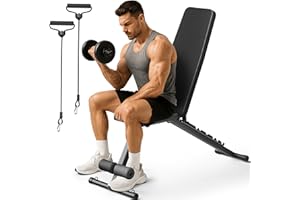 STEELITE Adjustable Workout Bench for Home Gym, Foldable Weight Bench for Dumbbell Exercise Full Body Workout, Incline Decline Gym Bench for Fitness Strength Traning