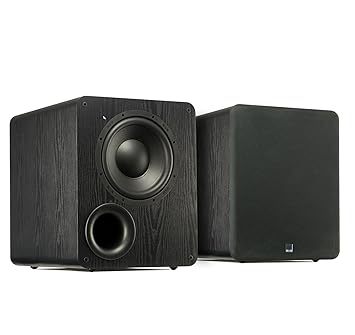 svs 10 inch subwoofer