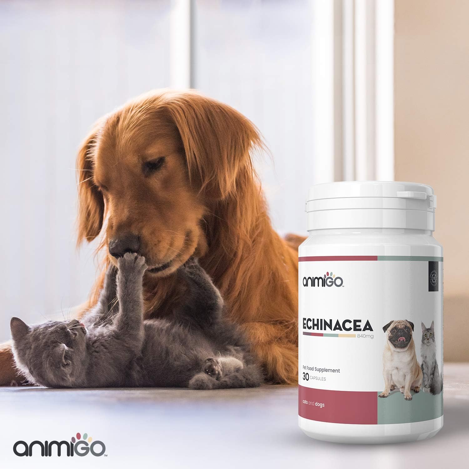 Animigo Echinacea Immunity Support Supplement For Cats & Dogs