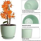 PROFIKLA Plastic Plant Pots Set 20/18/16 cm with Drainage Holes and Saucers view 3
