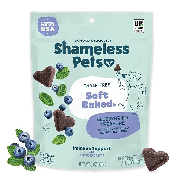SHAMELESS PETS SOFT-BAKED DOG TREATS, BLUEBERRIED TREASURE –...