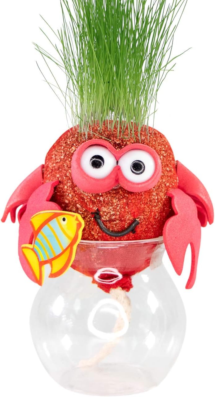 AvoSeedo Grass Head - Funny Fast Growing Grass Head Learning Toy for Kids (Crabby)
