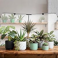 Sondiko Full Spectrum Grow Lights for Indoor Plants, LED Grow Light with Automatic Timer, 9-Level Dimmable, Adjustable Lamp A