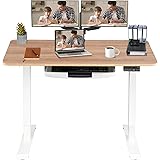MONOMI Electric Height Adjustable Standing Desk, 48 x 24 inches Stand up Desk Workstation, Sit Stand Home Office Table with 4