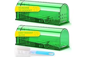 DR CATCH Mouse Traps, Humane Mouse Trap, Easy to Set, Mouse Catcher Quick Effective Reusable and Safe for Families -2 Pack