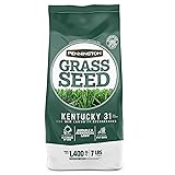 Pennington Kentucky 31 Tall Fescue Penkoted Grass