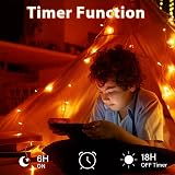 Dalugo Orange Halloween Lights 3M 30 LED IP65 Battery Powered with Timer view 3