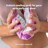 Frida Mom 2-in-1 Postpartum Pads + Disposable Knickers Regular 8 pads 2 knickers view 4