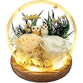 Flowers, Roses Gift - Preserved Flowers & Preserved Roses Gift for Women, White Rose with Owl Decor That Lasts Forever – Birthday Gifts for Women, Mother’s Day &Valentine, Flower for Delivery
