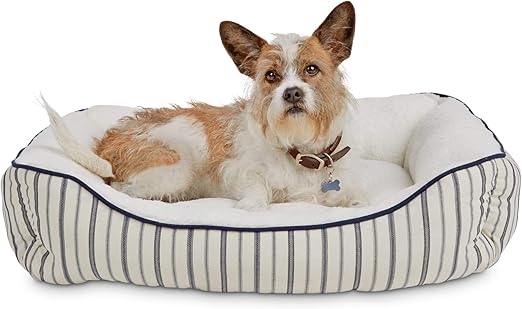 harmony dog bed