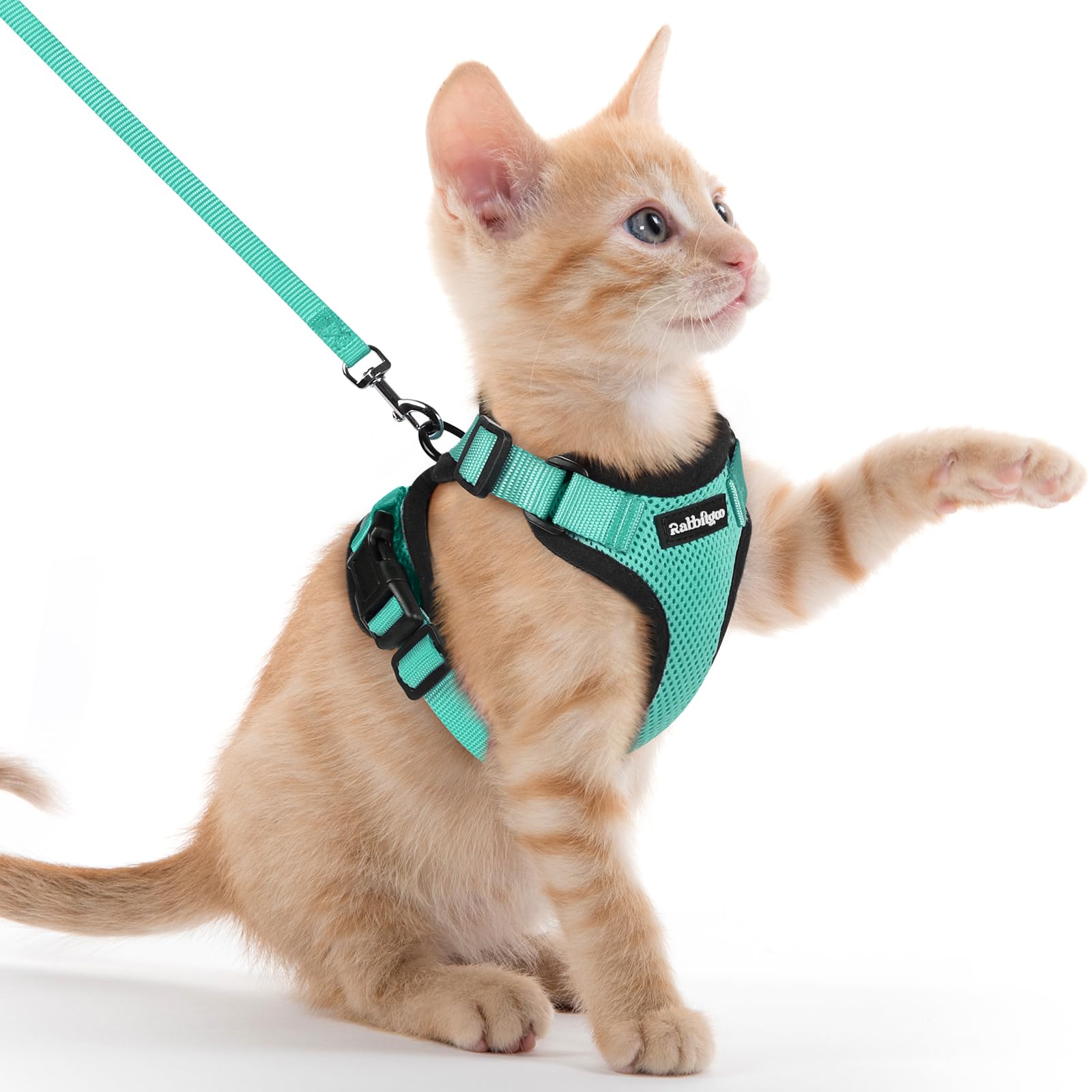 rabbitgoo Cat Harness and Lead Set, Adjustable Escape Proof Cat Lead for Walking, Reflective Kitten Harness Set, Soft and Comfortable for Kittens and Small Cats, Green, XXS