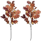 SNAIL GARDEN 2 Pcs 39.3in /100cm Faux Oak Fall Floral Stems with Acorns,Large Artificial Fall Stems for Vases Filler, Autumn Decor Oak Leaves Artificial Fall Flowers Wedding Porches Courtyards