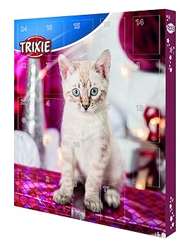 Calendrier de l'Avent avec des friandises pour les chats