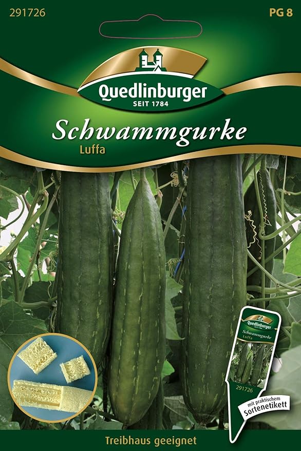Schwammgurke, Luffa cylindrica, ca. 5 Samen: Amazon.de: Garten