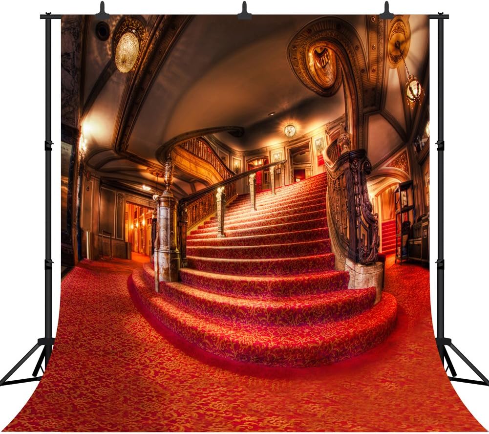 DePhoto 10x10Ft Indoor Red Carpet Staircase Seamless Vinyl Photography Backdrop Photo Background Studio Prop PGT003