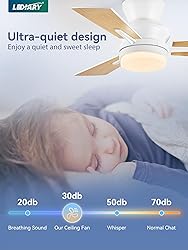 LEDIARY 30 Inch Small Ceiling Fan with Lights and