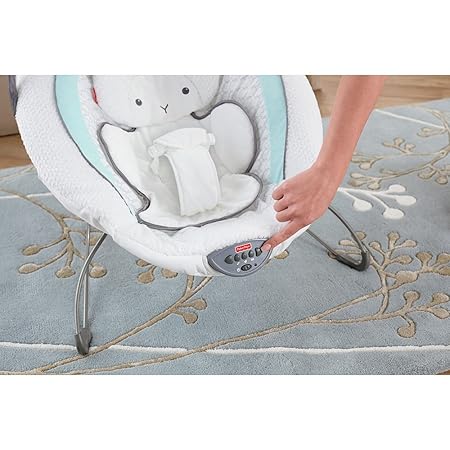 fisher price bouncer lamb