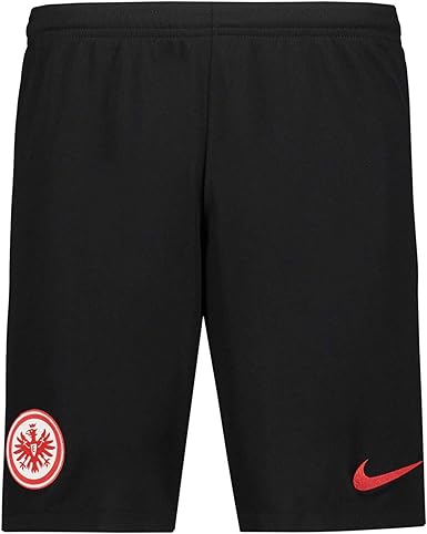 new nike shorts 2019