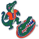 Desert Cactus University of Florida Sticker Vinyl Decal Laptop Water Bottle Car Scrapbook Sheet (4 Inch Set V4)