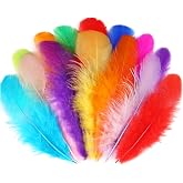 Soarer Colorful Craft Supplies Feathers Bulk for Crafting,300Pcs,3-5inch | Soft Assorted Colored Rooster Feathers for DIY School Crafts,Dream Catchers,Thanksgiving,Christmas Home and Costume Decor