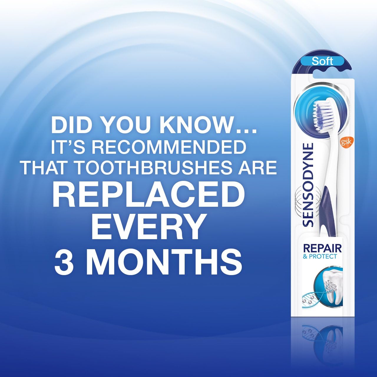Sensodyne Toothpaste Repair and Protect, Teeth Whitening Toothpaste Multipack with Sensodyne Toothbrush, 3 x 75ml - Image 4