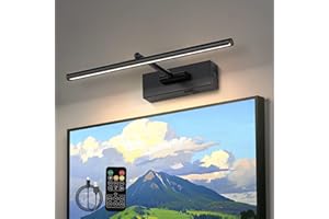 IYOEE Battery Operated Picture Light with Wireless Remote 3CCT Dimmable Black Wall Art Lights for Paintings 3 Colors Rechargeable home decor Gallery Light 16’‘ Artwork Lighting for Canvas Timer Function