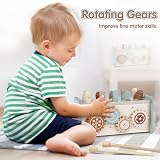 DINORUN Montessori Wooden Toy 4 in 1 Hammering Xylophone Fishing Gear view 6