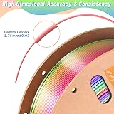 ERYONE Ultra Silk PLA Filament Rainbow 1.75mm 1kg Candy Rainbow view 4