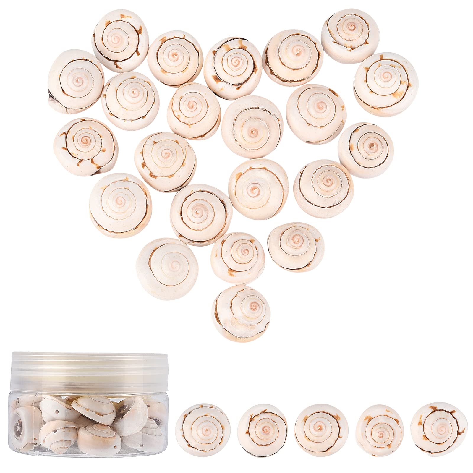 SUNNYCLUE 1 Box 100g PeachPuff Shiva Eye Shell Beads Round Spiral Seashells Ocean Beach Charms Sea Shells Bulk with Holes for Earring Necklace Bracelet Jewelry Making Home Party Decoration