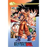 Dragon Ball - Anime TV Show Poster (Goku Montage) (Size: 24" x 36")